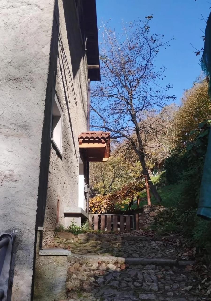 Alpaca'S House: Green, Animals & Lake View 벨라노 외부 사진